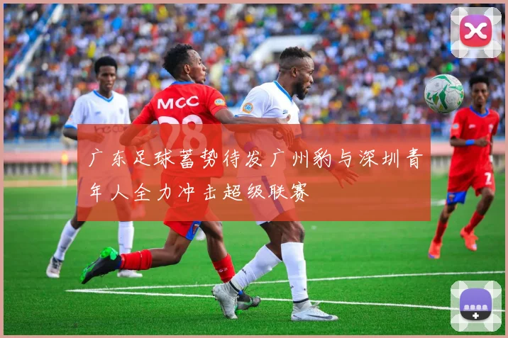 广东足球蓄势待发广州豹与深圳青年人全力冲击超级联赛
