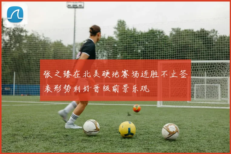 张之臻在北美硬地赛场连胜不止签表形势利好晋级前景乐观